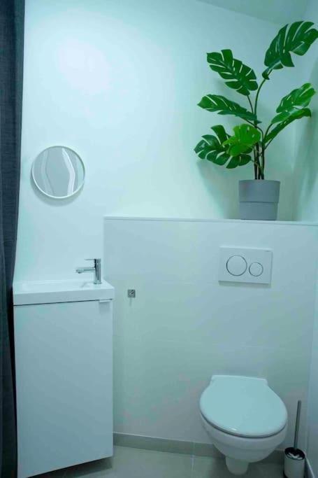 Appartement 5Min Aeroport Cdg 勒梅尼尔阿姆洛 外观 照片